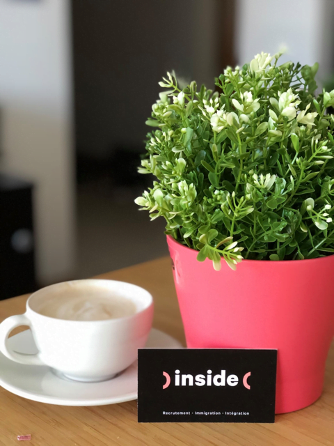 Carte de visite d'Inside Immigration devant une tasse de café et une plante